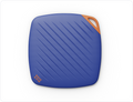 color:blue